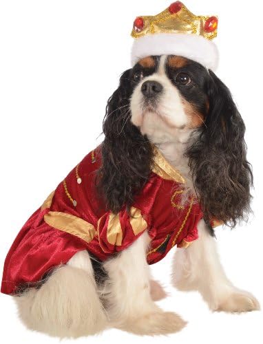 Rubies Kanine King Pet Costume for Dogs or Cats, Large by Rubies