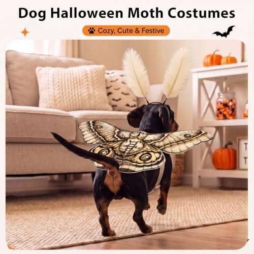 Tallew 2 Pcs Dog Halloween Costumes Moth Butterfly Wings,S,Grayish White - Image 4