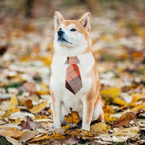 ADOGGYGO Fall Dog Necktie, Orange Plaid Thanksgiving Dog Tie Collar, Medium - Image 3