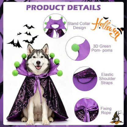 EXPAWLORER Halloween Witch Costume for Cat & Small Medium Dog - Image 3