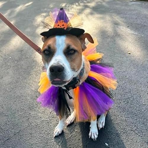 ADOGGYGO Halloween Dog Bandana, Dog Witch Hat and Tutu Skirt Set - Image 2