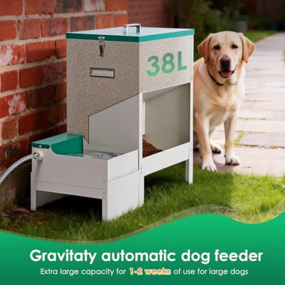 Metal Automatic Dog Feeder&Water Dispenser for Large Dogs Outdoor