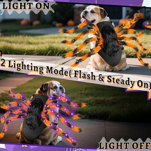 Halloween Light up Spider Dog Costumes for Small Medium Large Dogs - Image 3