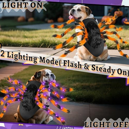 Halloween Light up Spider Dog Costumes for Small Medium Large Dogs - Image 3