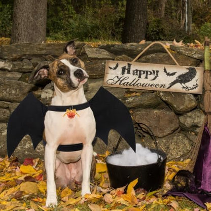 Dog Bat Costume Dog Halloween Costume Dogs Bat Wings with Pumpkin Bell - Image 6
