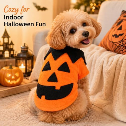 Dog Halloween Costume Pumpkin Pet Outfit Cat Clothes - Image 2