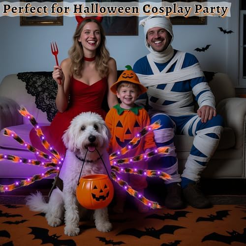 Halloween Light up Spider Dog Costumes for Small Medium Large Dogs - Image 5