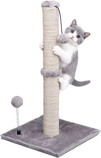 MECOOL Cat Scratching Post Premium Basics Kitten Scratcher Sisal Scratch Posts with Hanging Ball 22" for Kittens or Smaller Cats (22 inches for Kitten, Gray)