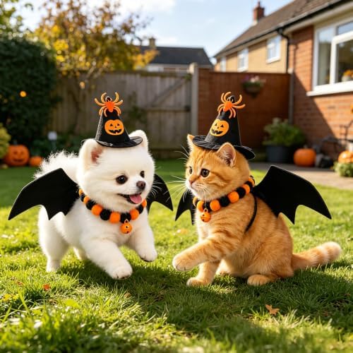 LOKIPA Halloween Pet Costumes Set for Dogs and Cats (Size M) - Image 6