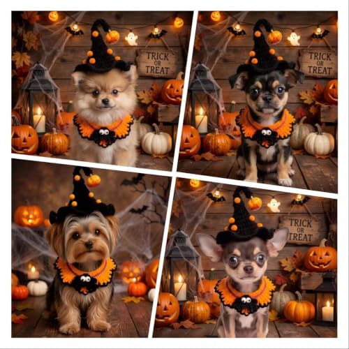 Halloween Pet Costume, Spider & Black Witch Hat for Cats and Small Sized Dogs, Hand-Knit Festive Halloween-Themed Cat Apparel, Dog Halloween Costumes, Cat Witch Costume - Image 3
