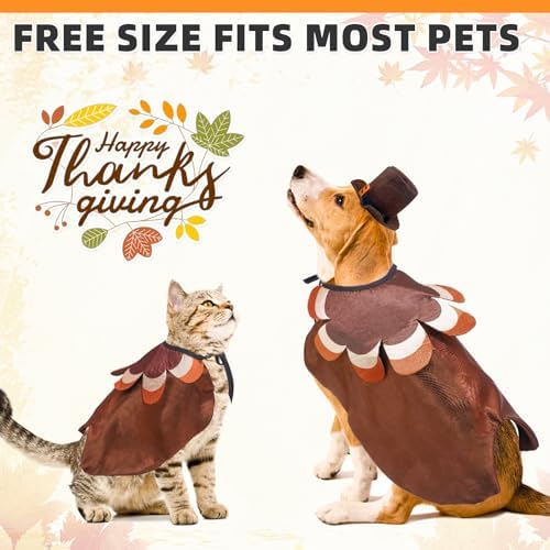 KOOLTAIL Dog Thanksgiving Costume, Thanksgiving Turkey Cape and Hat Set for Small Medium Large Dogs Cats Puppy, Funny Dog Witch Clothes Cosplay Dress Wizard Outfit Mantle Apparel for Holiday Party L - Image 5
