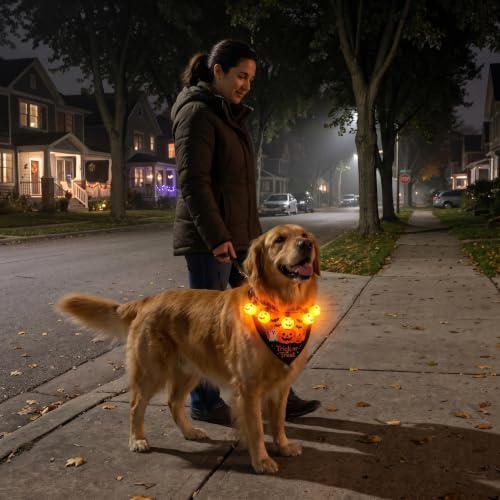 Dog Halloween Costumes, Light Up Pumpkin Pet Halloween Bandanas，X-Large - Image 5