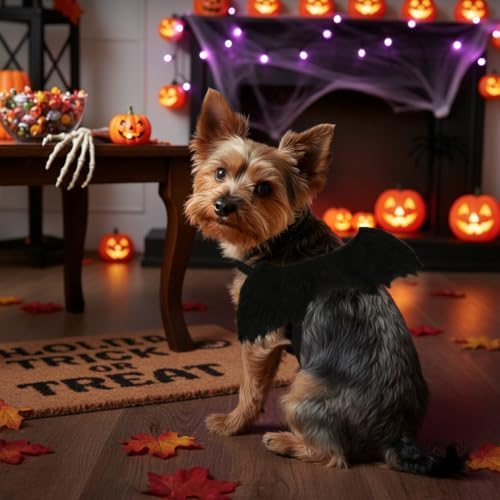ADOGGYGO Halloween Angel Dog Costume, Black Faux Fur Dark Angel Wings, S - Image 2