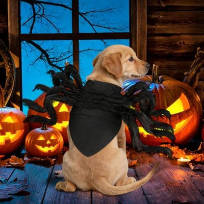 Halloween Spider Costume for Dog, Halloween Pet Costume Halloween Decorations, Spider Decor Halloween Party Supply, Spider Cosplay Costumes with Adjustable Velcro for Small Medium Dogs and Cats - Image 5
