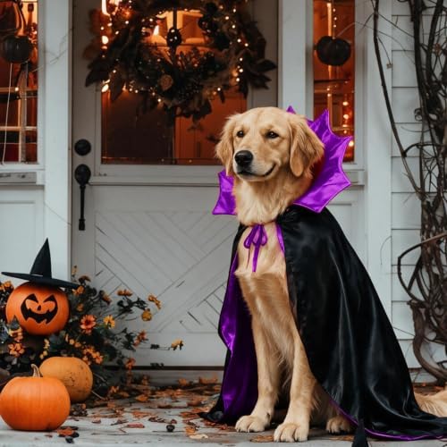 Vampire Cloak Dog Halloween Costumes for Large XL Dogs Dog Devil Cape - Image 6