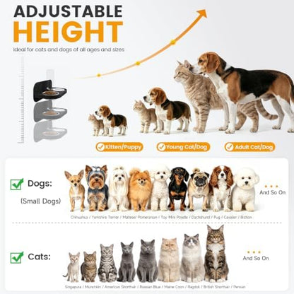 Dog Cat Bowls Wall Mounted Stainless Steel 2 in 1 Feeding Bowl, Automatic Refill Water Dispenser Anti Spill Design for Small Kittens Pet Puppies, Black