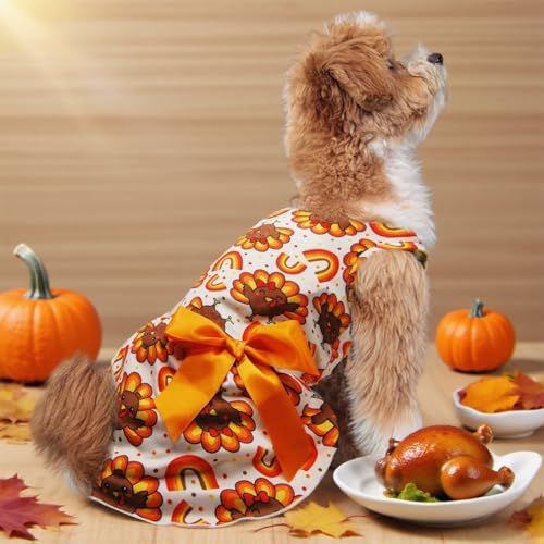 Thanksgiving Turkey Dog Dress, Cute Fall Holiday Pet Outfit for Small and Medium Dogs Autumn Harvest Costume for Puppy Girls and Boys - Image 6