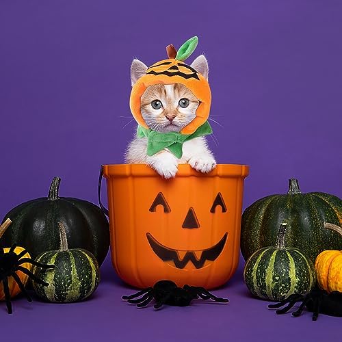 ALIBBON Cat & Dog Halloween Costume - Pumpkin Headdress & Cap Set for Puppy & Kitty Cosplay - Image 5