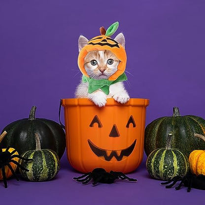 ALIBBON Cat & Dog Halloween Costume - Pumpkin Headdress & Cap Set for Puppy & Kitty Cosplay - Image 5