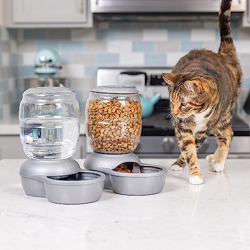 Petmate Replendish Feeder with Automatic Cat and Dog Feeder, 5 LB, Pearl Silver Grey, Made in USA (Pack of 2)