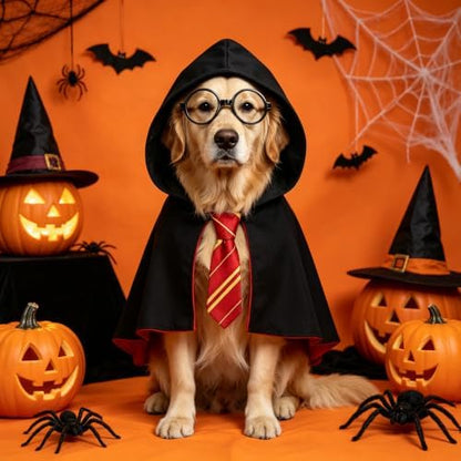 Medium Dog Wizard Costume with Black Glasses Frame, Halloween Pet Costume Set with Wizard Cloak and Scarf, Funny Magic Outfit for Medium Dogs, Cosplay Party, Pet Photo Shoot - Image 6