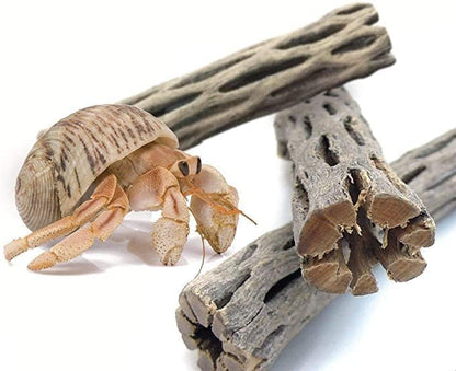 SunGrow Hermit Crab Woods, Climbing Logs, Chews, Keep Hermies Busy and Active, Long Dried Aquarium Décor Adds Raw Beauty (6 Pieces, 6 inches)