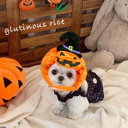 ANIAC Dog Pumpkin Costume Halloween Cat Pumpkin Outfit Funny Puppy Clothes for Small Dogs Pet Party Cosplay Accessories (Orange Hat, Free Size for Hat) - Image 2