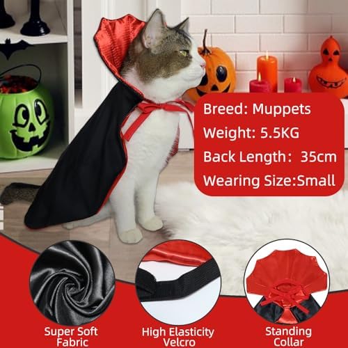 ROSAUI Halloween Pet Vampire Cape – 19.69″ Adjustable Red & Black Costume for Medium Dogs (Beagle, Shiba Inu, French Bulldog) Spooky Outfit with Stand-Up Collar (M Size) - Image 3