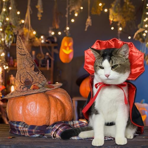 ROSAUI Halloween Pet Vampire Cape – 19.69″ Adjustable Red & Black Costume for Medium Dogs (Beagle, Shiba Inu, French Bulldog) Spooky Outfit with Stand-Up Collar (M Size) - Image 5