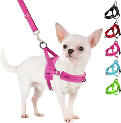 SlowTon No Pull Small Dog Harness and Leash Set, Puppy Soft Vest Harness Neck & Chest Adjustable, Reflective Lightweight Harness & Anti-Twist Pet Lead Combo for Small Medium Dogs (Fuchsia, XXS)