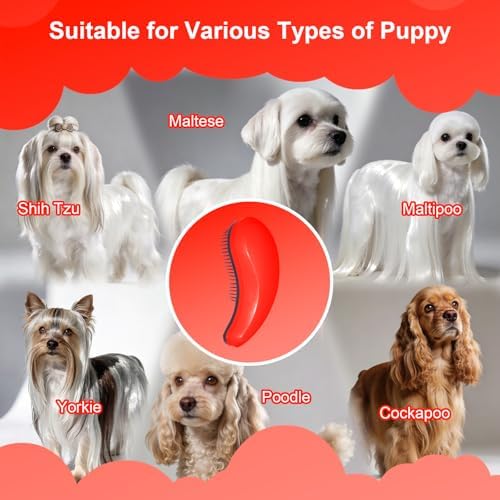 Small Dog Brush, Skin-friendly Soft Bristles (Orange) - Image 6