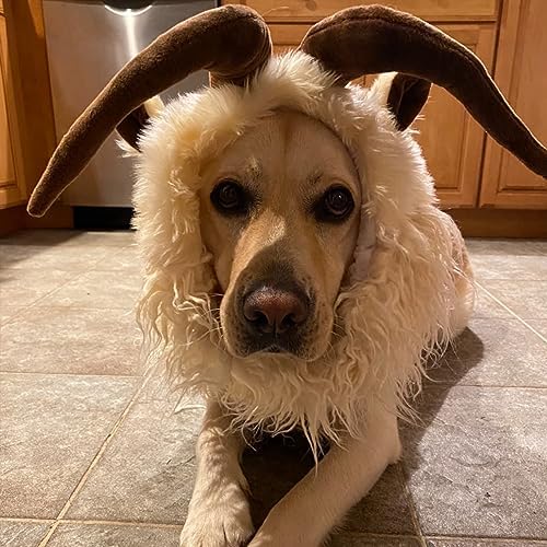 Onmygogo Funny Pet Reindeer Moose Costumes for Dog, Cute Furry Pet Wig for Halloween Christmas, Pet Clothing Accessories - Image 7