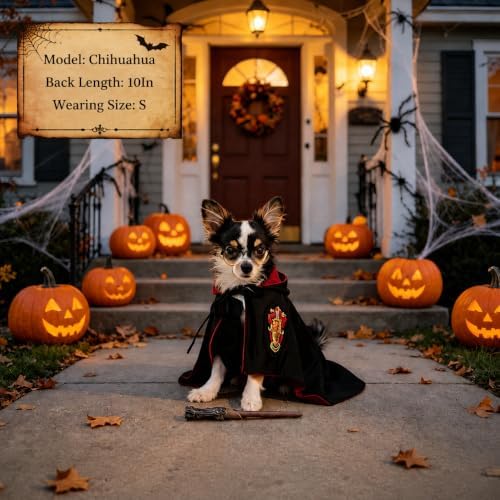 Small Dog Halloween Costumes - Adjustable Dog Cat Wizard Costume,Pet Hooded Cape Glasses Necktie Set,Puppy Kitten Halloween Costumes Boy Girl,Chihuahua Yorkie Clothes,Black Red Magician Cosplay Outfit - Image 2