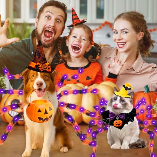 Halloween Spider Costume for Small Dog - Glowing Funny Cats Pet Costumes - Image 7