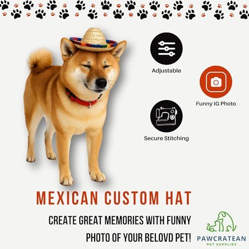 Pet Custom Dog Custom Cat Custom Hoodie, Sporty Look, Funny Gift, Halloween Holiday (Sombrero Hat, One Size) - Image 6