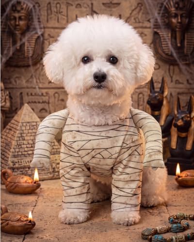CuteBone Mummy Dog Halloween Costume Soft Stretch Bandage Outfit with 3D Long Sleeve Easy Velcro Back Closure Cosplay Party Clothes for Small Medium Dogs GBZ08S - Image 4