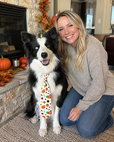 PET SHOW 10 Pack Holiday Winter Dog Ties Neckties XL for Extra Large Dogs - Image 5