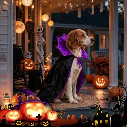 Vampire Cloak Dog Halloween Costumes for Medium Dogs Dog Devil Cape - Image 6
