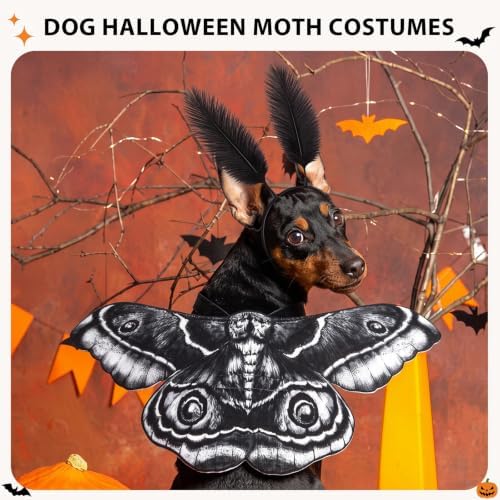 Tallew 2 Pcs Dog Halloween Costumes Moth Butterfly Wings,L,Black,White - Image 4