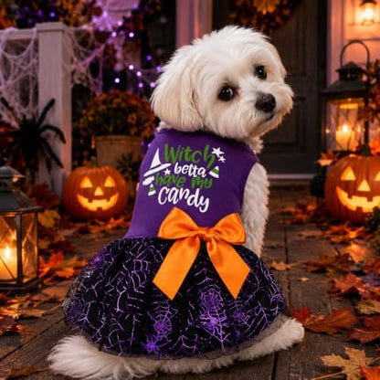 Halloween Dog Dress, Witch Candy Spider Web Tutu Skirt, Holiday Cat Costume for Small Dogs and Cats, Purple Pet Outfit for Puppies and Kittens - Image 5