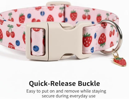 Small Dog Collar, Cute Dog Collar for Puppy, Extra Small & Small Dogs, Strawberry Blueberry Collar for Girl Female Dogs, XS