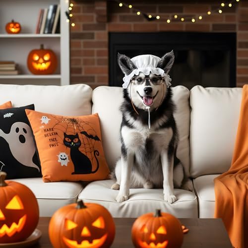 Haysandy 3 Pcs Halloween Big Bad Wolf Dog Costume Granny Costume, Medium - Image 7