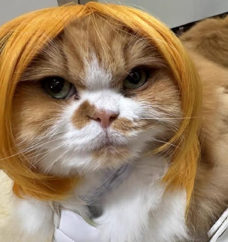 Blonde Dog Wigs for Large Dog Wig Small Medium Costume Golden Cat Wig - Image 5