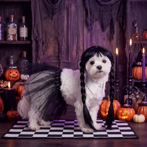 Dansydaisy 3 Pcs Black Halloween Dog Costume Set with Twin Ponytail Wig - Image 6