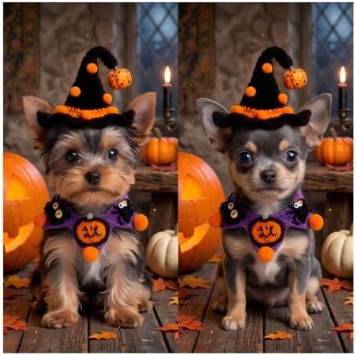 Halloween Dog Costume - Black Witch Hat & Halloween Outfit for Cats and Small Sized Dogs,Handmade Festive Halloween Pet Apparel with Pumpkin Design for Party & Photos - Image 3