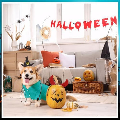 Dog Doctor Costume Cat Surgeon Nurse Costumes with Stethoscope, Green, XL - Image 4