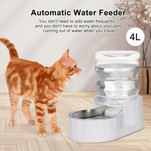RIZZARI 4L Gravity Cat Water Dispenser: Filtered Water for Kittens