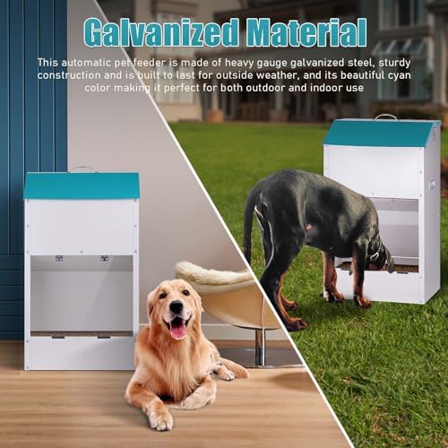50Lbs Large Capacity Automatic Dog Feeder Large Breed