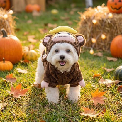 Halloween Monkey Small Dog Costume Pet Outfit Funny Clothes,XL - Image 2