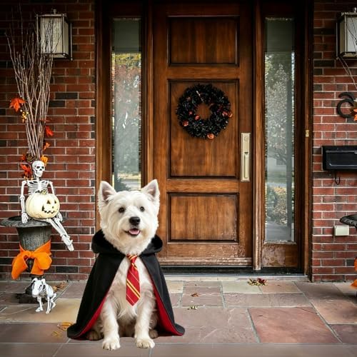 Dog Halloween Costumes, Dog Wizard Costume Wizard Witch Cape Necktie Costume for Small Medium Lage Dogs Pets (Small) - Image 2